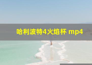 哈利波特4火焰杯 mp4